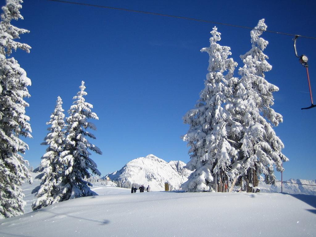 Apartmán Niedermoser